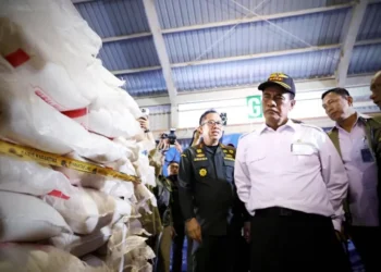 Mentan Amran Sita 1.000 Ton Beras Ilegal, Diangkut Pakai 6 Kapal