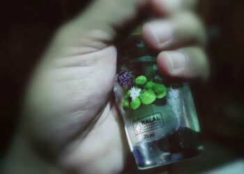 Pemerintah Tanggapi Sikap MUI, Tegaskan Sertifikasi Halal Produk AS Tetap Berlaku