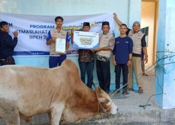 BPKH Melalui Lazismu Salurkan Hewan Kurban untuk Sibolga