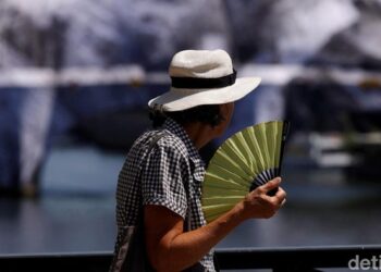 Angka Kematian di Prancis Melonjak 30% Akibat Gelombang Panas Ekstrem