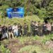 BNN Musnahkan 12 Hektare Ladang Ganja di Aceh, Total 30 Ribu Batang Pohon