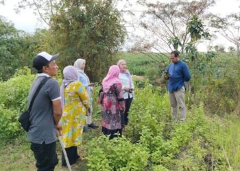 Aisyiyah Inisiasi Hutan Wakaf Siti Kanaya, Lahan di Pasuruan Jadi Pilot Project
