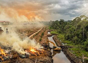 Karhutla Bukan Semata-Mata Bencana Alam: Ketika Iklim Bertemu dengan Tata Kelola Lahan